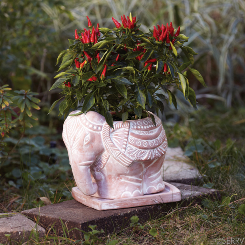 Elephant Planter