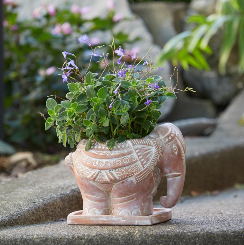 Elephant Planter